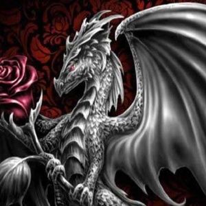 Meet your Posher, Sandy